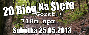 Bieg na Ślezę